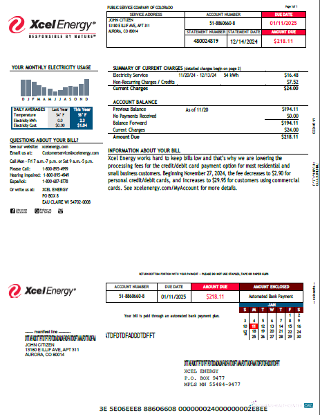 download download USA Xcel Energy utility bill template in Word and PDF formats, version 2 PDF template PDF template